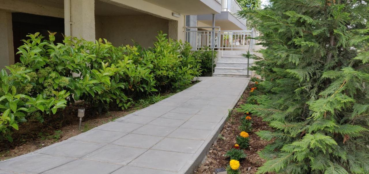 Chelona Apartments Nea Plagia Ngoại thất bức ảnh